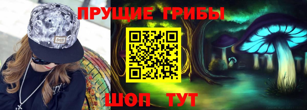 Городец  Галлюциногенные грибы Cubensis  Вход с VPN  Галлюциногенные грибы GOLDEN TEACHER 